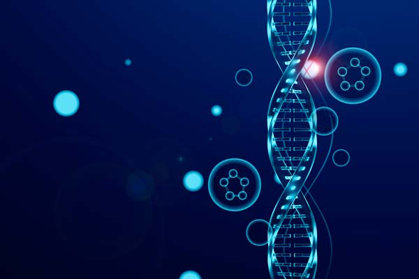 Liberar el poder de los algoritmos genéticos en la IA